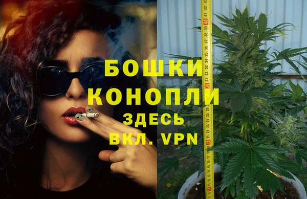 индика Аркадак