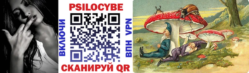 Псилоцибиновые грибы Cubensis  закладки  Кировск 